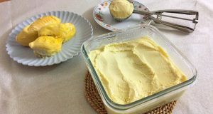 The Best Frozen Durian Paste-In Singapore
