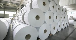 Asia Pulp and Paper