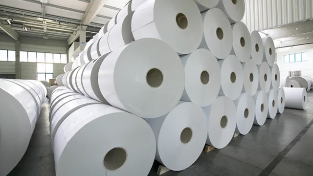 Asia Pulp and Paper